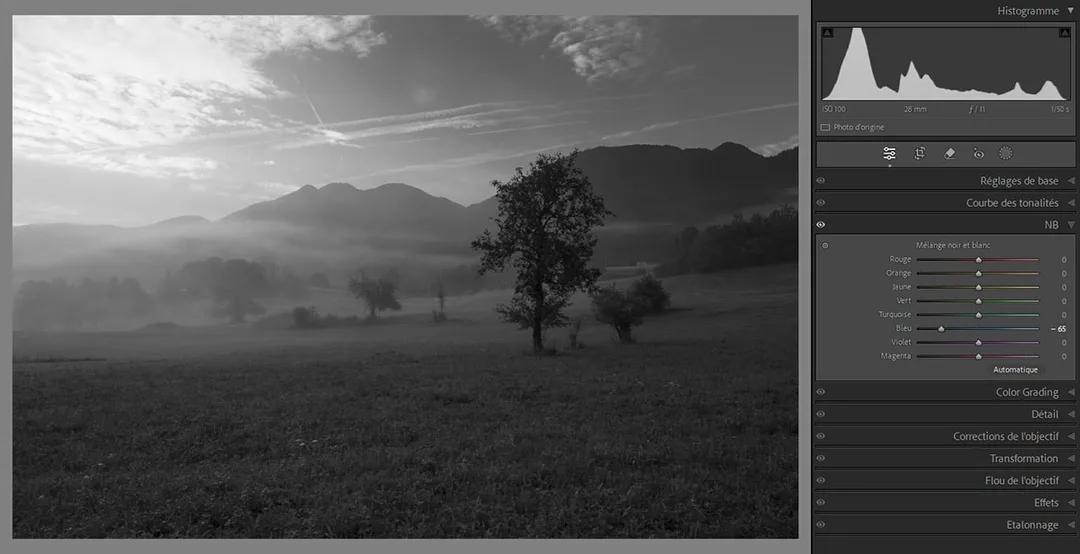 RAW-Lightroom-développement-photo-noir-et-blanc-curseurs