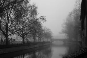 paysage-reverie-brume-brouillard-douceur-Alsace