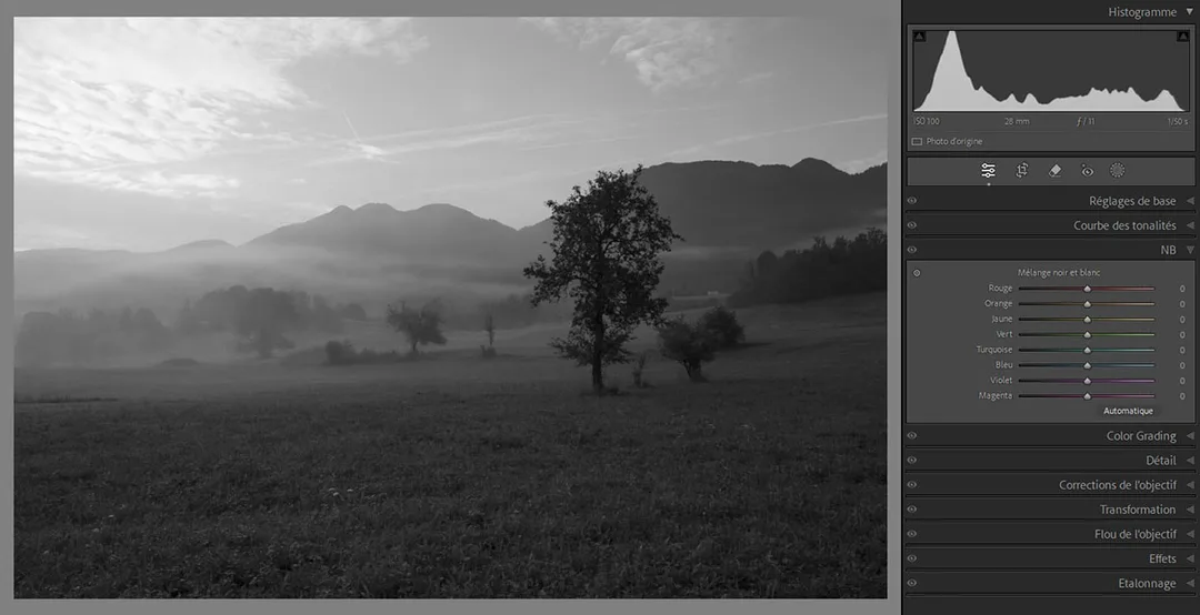 RAW-Lightroom-développement-photo-noir-et-blanc