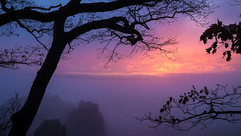 paysage-landscape-sunrise-brume-soleil-ombre-philippe-martz