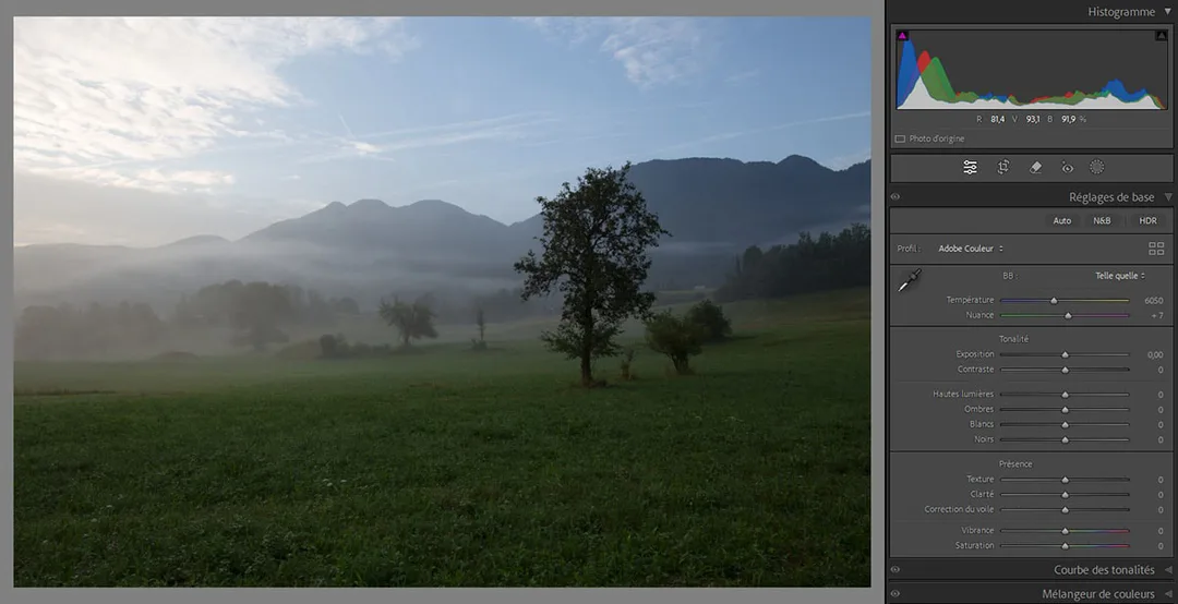 RAW-Lightroom-développement-photo