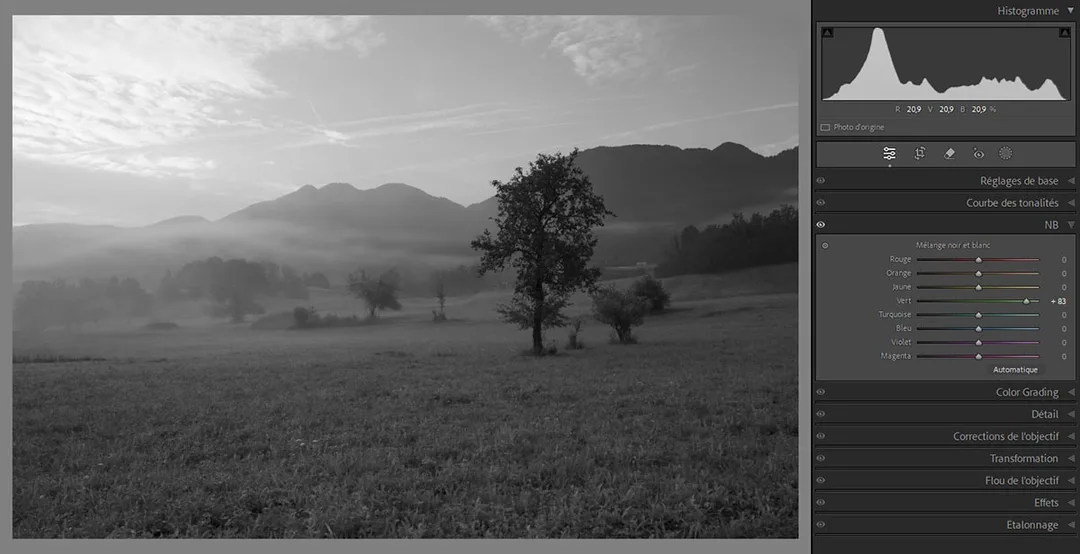 RAW-Lightroom-développement-photo-noir-et-blanc-curseurs