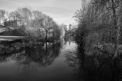 Strasbourg-eau-arbre-reflet-riviere-noir-blanc-philippe-martz